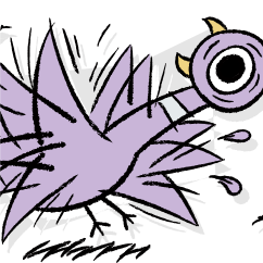 purple Pigeon