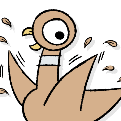 tan Pigeon