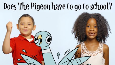 Pigeon School Thumbnail